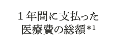 1年間に支払った医療費の総額＊1