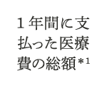 1年間に支払った医療費の総額＊1